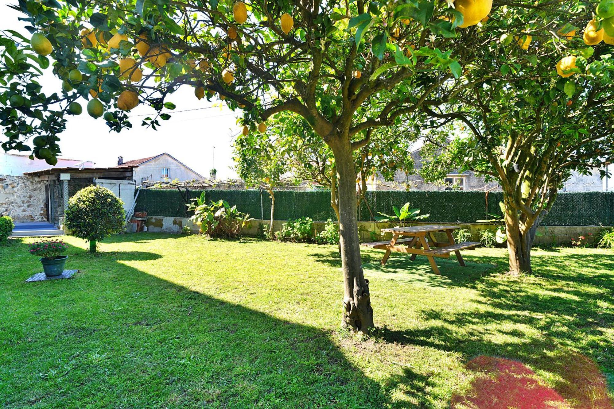 Casa Con Jardin En Vilanova De Arousa Pontevedra Exterior foto